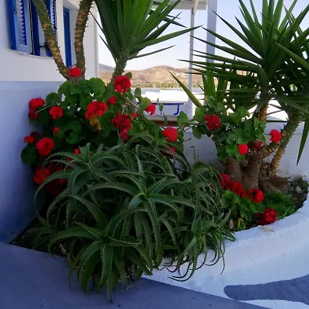Pounti Livadi (Serifos)
